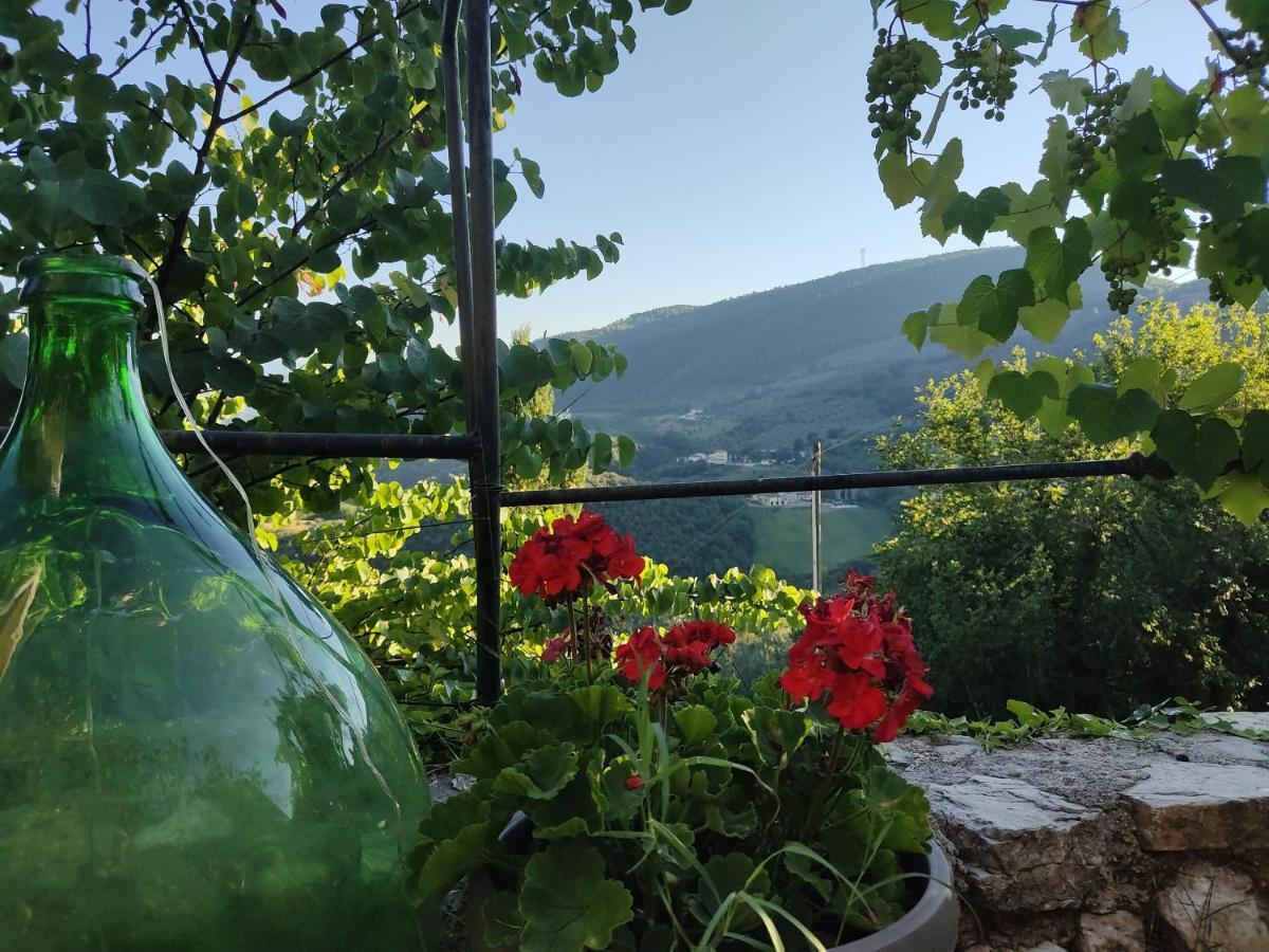 Guesthouse Runcini Ferentillo Kültér fotó