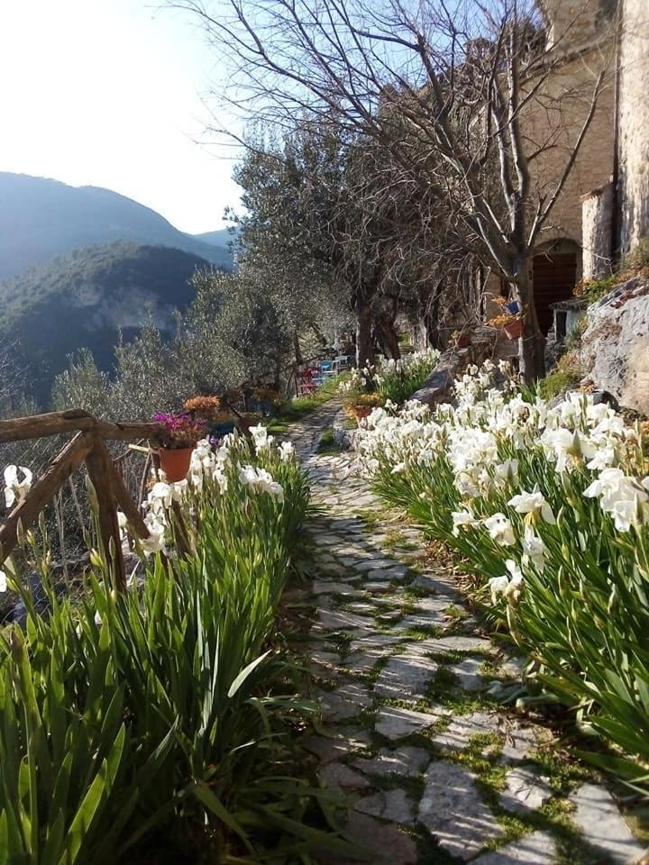 Guesthouse Runcini Ferentillo Kültér fotó